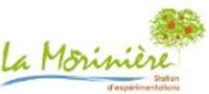 Morinière